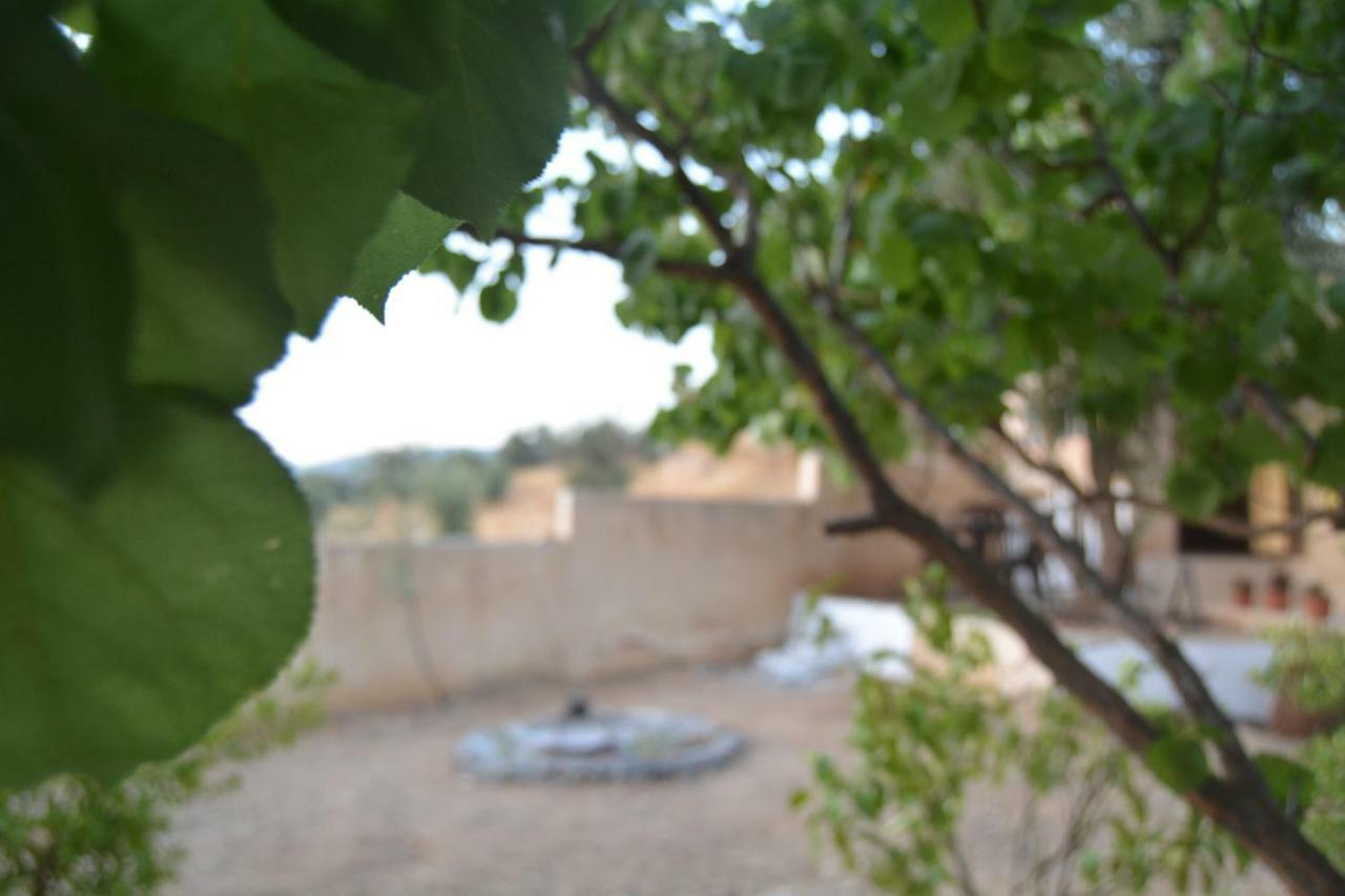 Our Villa'S Private Apartments - Hq Budget Stay - Wonderful Horizon View Of Jerash Jarash Exterior photo